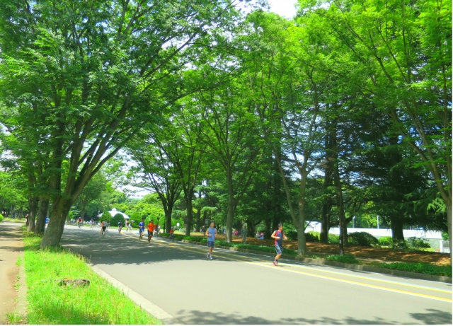 駒沢公園内にあるサイクリングコースの魅力をご紹介！
