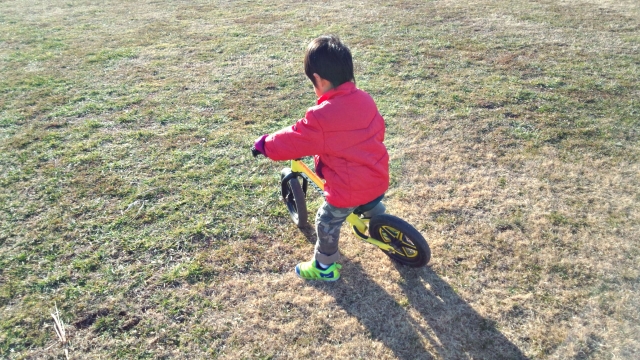 2歳からペダルなし自転車「ストライダー」で慣れさせよう！